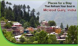 Top Five Places for a Stay That Refresh Your Soul in Mcleod Ganj, India