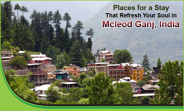 Places-for-a-Stay-That-Refresh-Your-Soul-in-Mcleod-Ganj-India