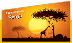 Five Experiences in Kenya Your Tourist Guide Didn't Tell You About