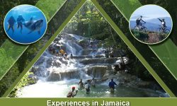 Start Your Jamaica Exploration with These Top Five Experiences
