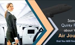Some Quirky Facts about Your Air Journey that You Will Find Interesting