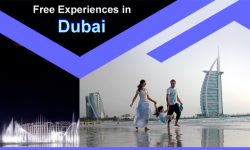 Top Five Free Experiences in Dubai
