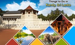 Top Things to Do in Kandy, Sri Lanka