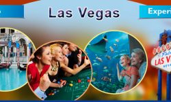 Top Five Las Vegas Experiences