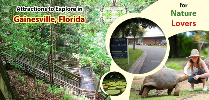 Attractions-to-Explore-in-GainesvilleFlorida-for-Nature-Lovers