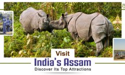 Visit India’s Assam and Discover Its Top Attractions