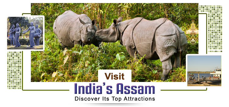 Visit-Assam-and-Discover-Its-Top-Attractions