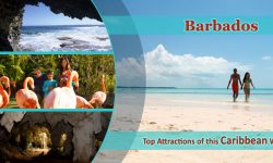 Barbados – Top Attractions of this Caribbean Wonder!
