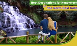 Best Destinations for Honeymoon in the North East India