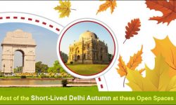 Make the Most of the Short-Lived Delhi Autumn at these Open Spaces in the City