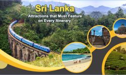 Sri Lanka Attractions that Must Feature on Every Itinerary