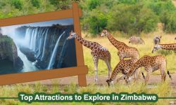 Top Attractions to Explore in Zimbabwe